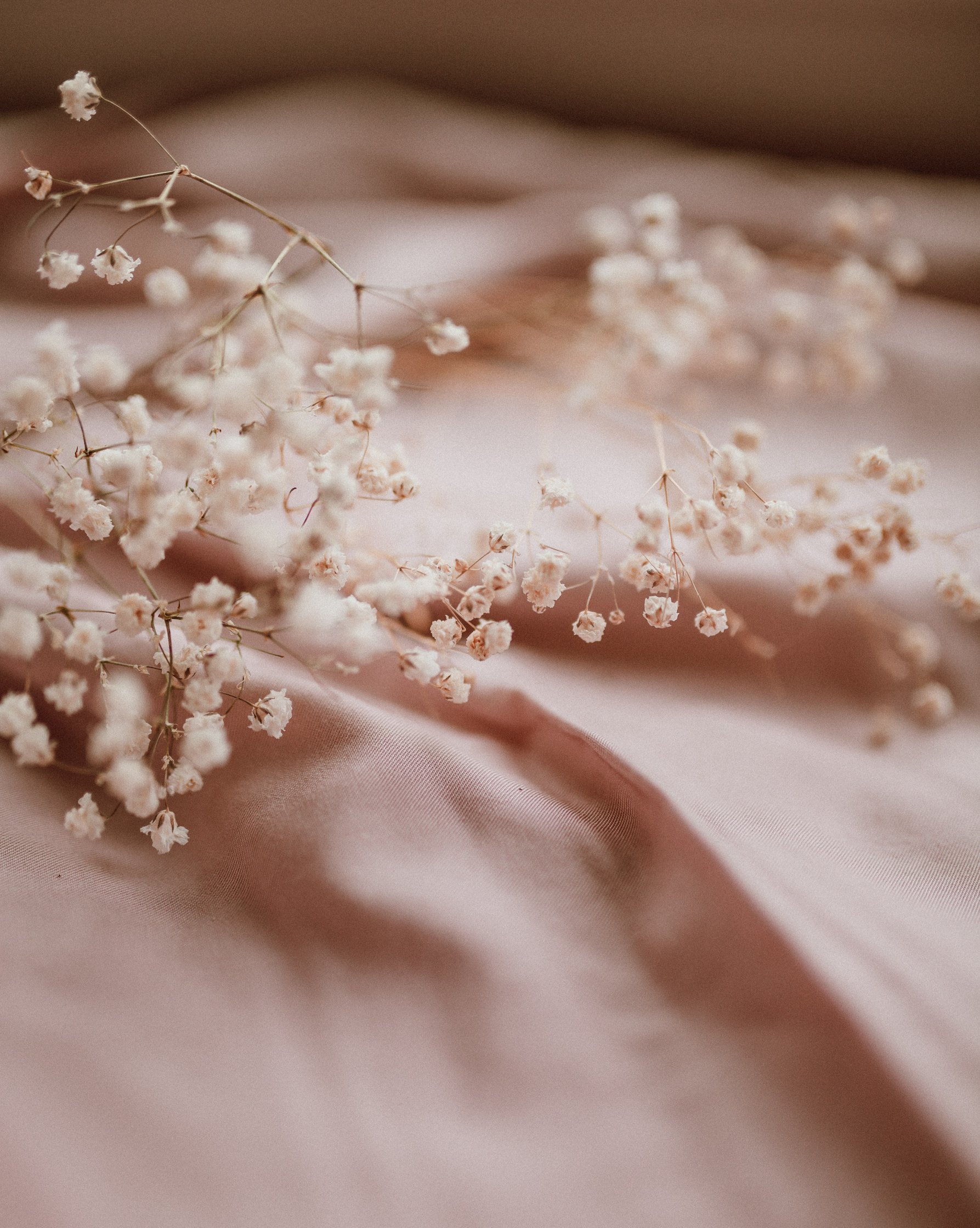 Flowers on Brown Fabric